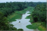 Река Амазонка Фото